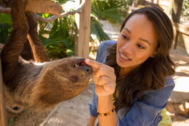 woman feeding sloth